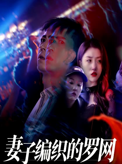 妻子编织的罗网封面