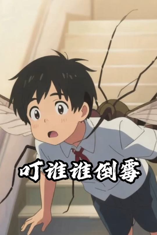 叮谁谁倒霉封面