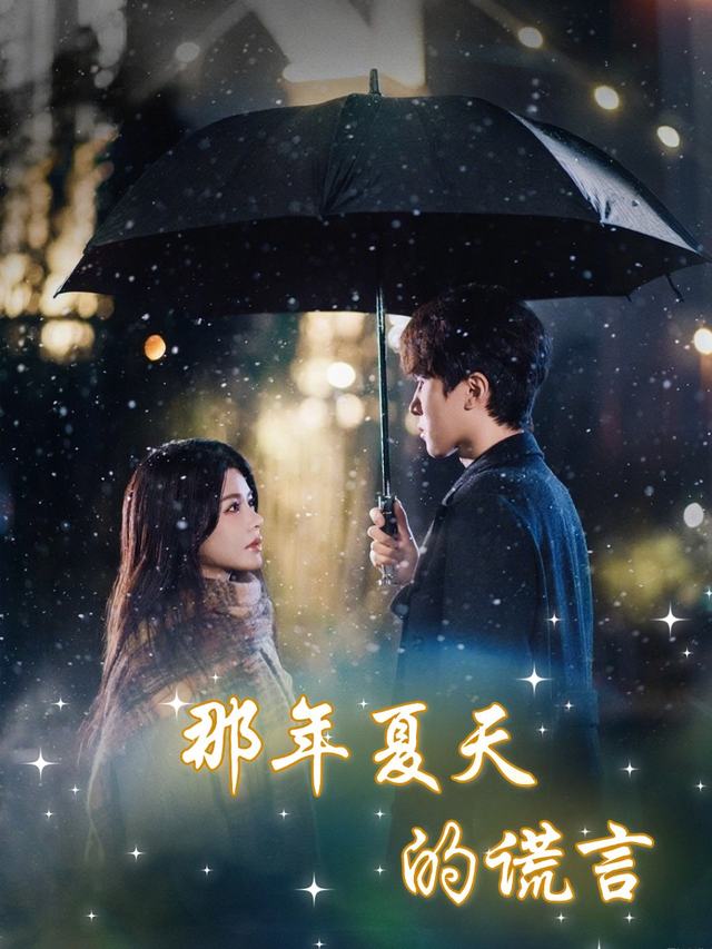那年夏天的谎言封面
