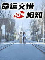 命运交错心相知封面