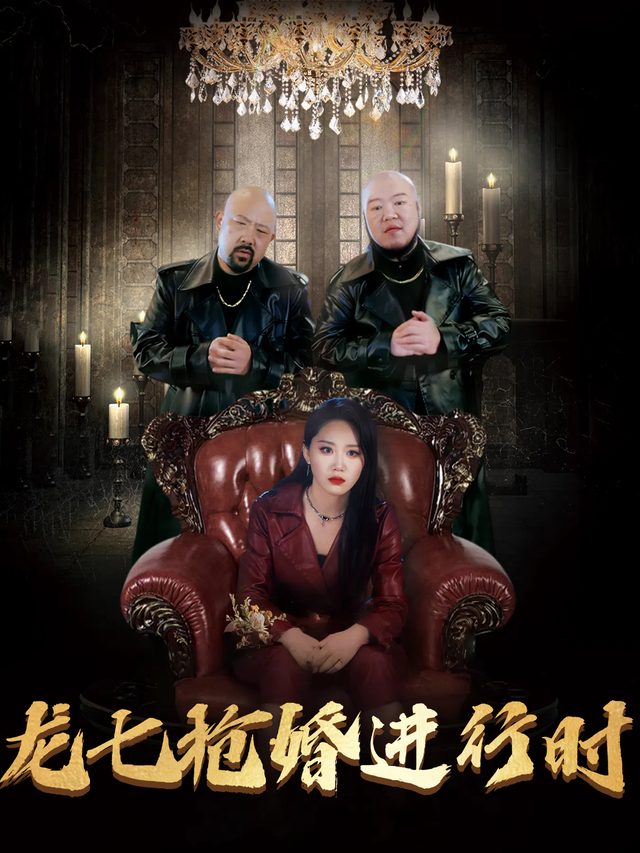 龙七抢婚进行时封面