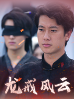 龙戒风云封面