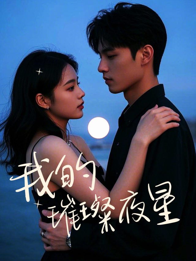我的璀璨夜星封面