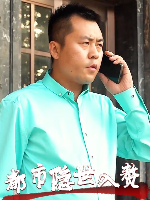 都市隐世入婿封面