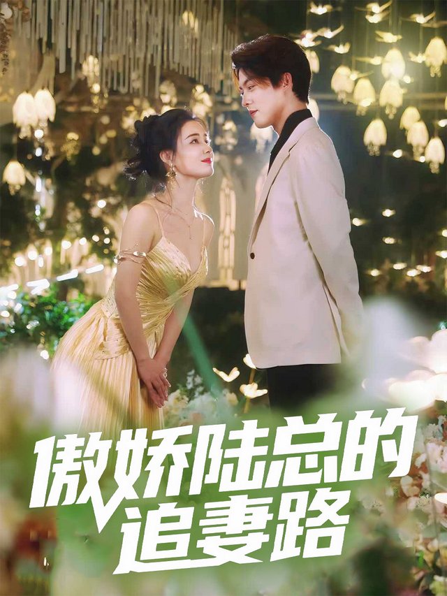 傲娇陆总的追妻路封面
