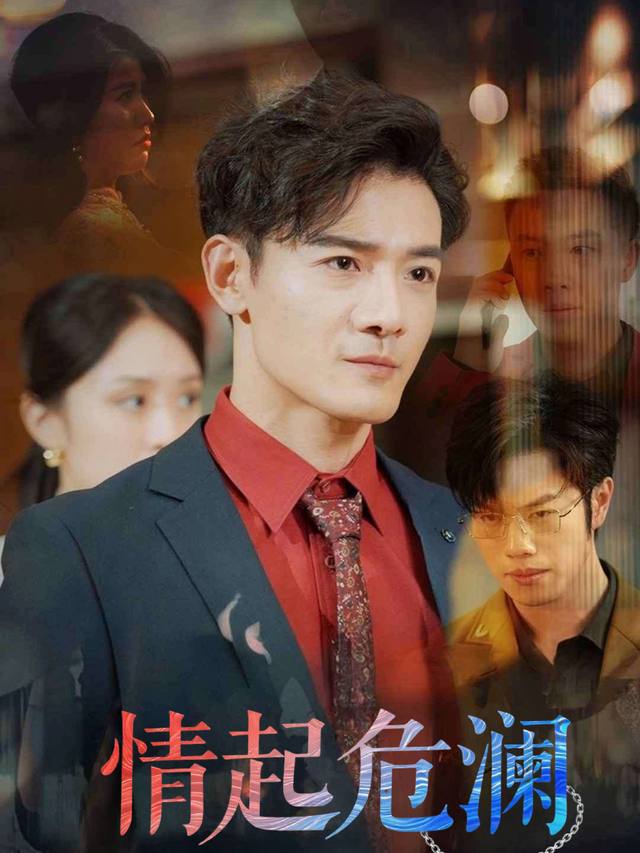 情起危澜封面