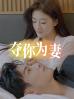 夺你为妻封面