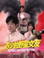 苏少的野蛮女友封面