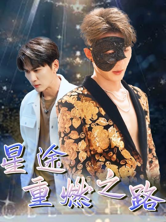 星途重燃之路封面