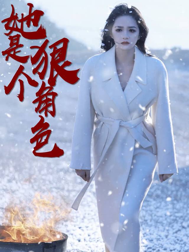 她是个狠角色封面
