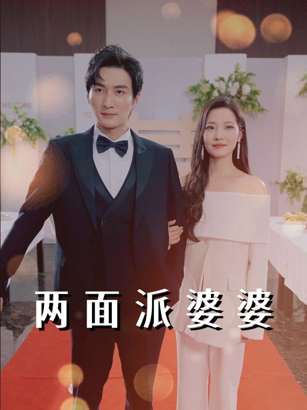 两面派婆婆封面