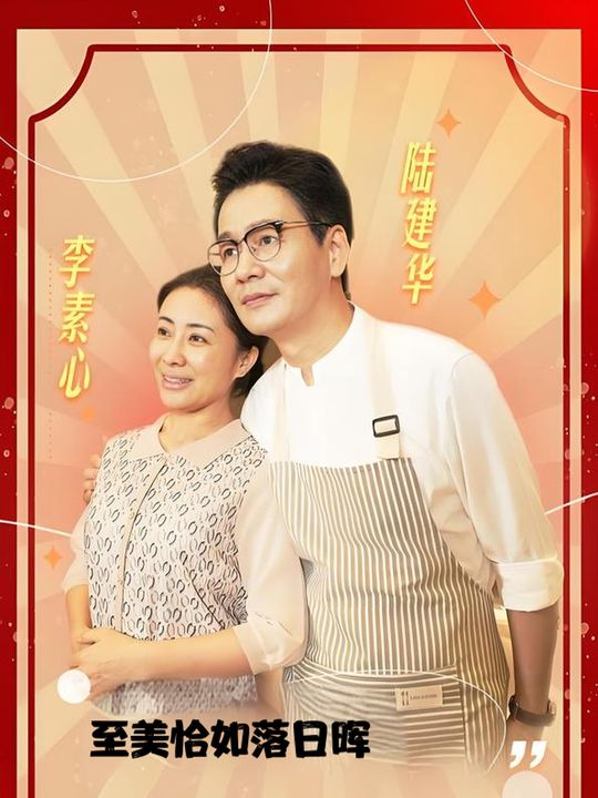 至美恰如落日晖封面