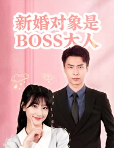 新婚对象是BOSS大人封面