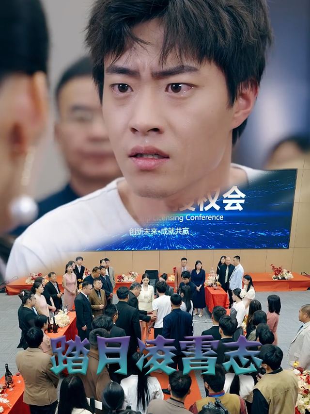 踏月凌霄志封面