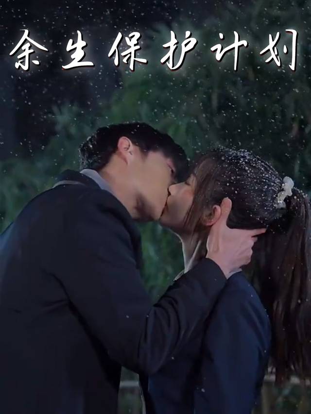 余生保护计划封面