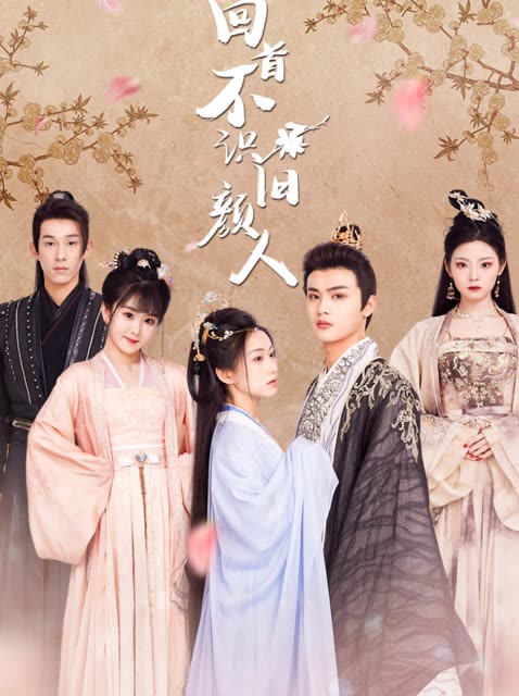 回首不识旧颜人封面