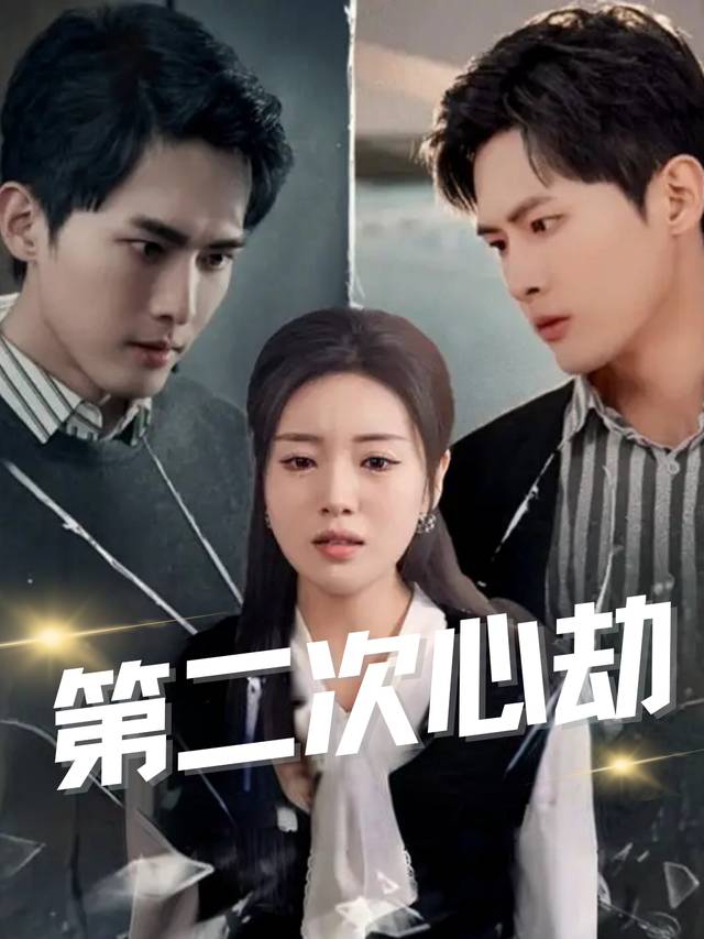 第二次心劫封面