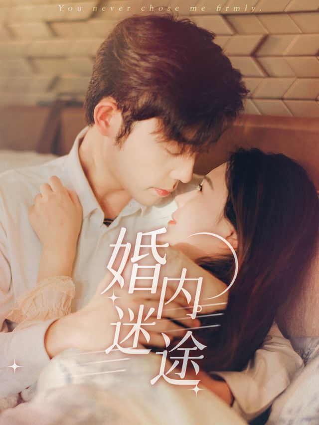 婚内迷途封面