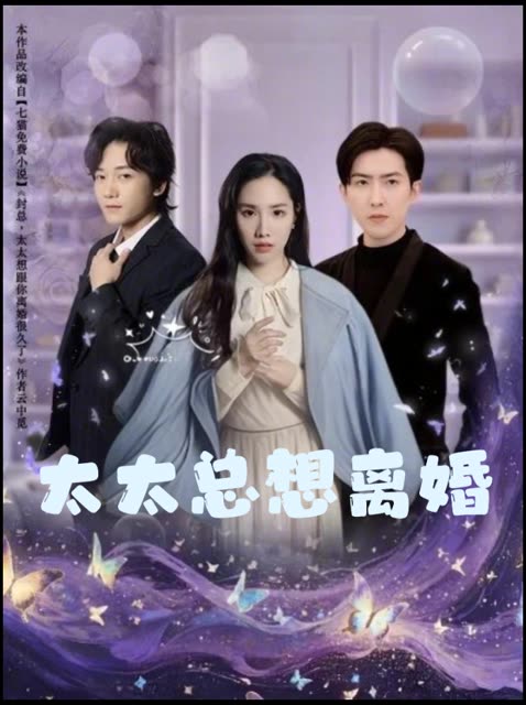 太太总想离婚封面
