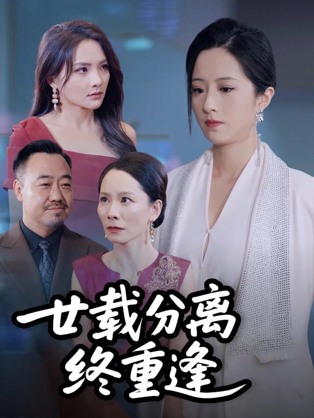 廿载分离终重逢封面