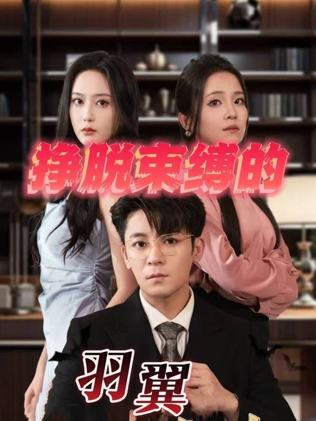 挣脱束缚的羽翼封面
