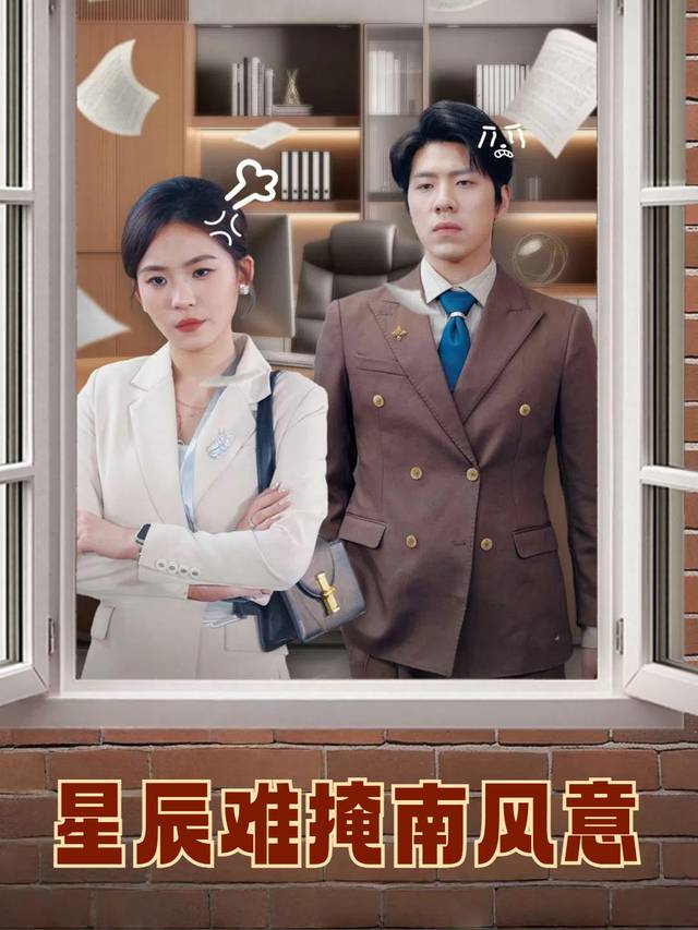 星辰难掩南风意封面