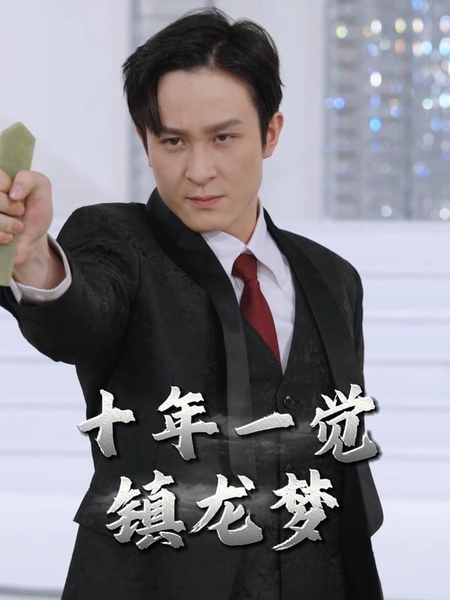 十年一觉镇龙梦封面