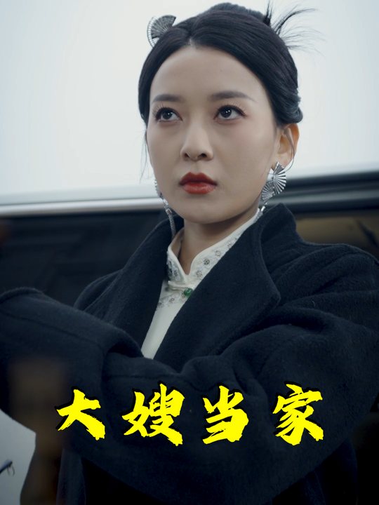 大嫂当家封面
