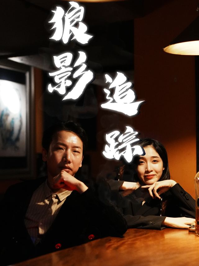 狼影追踪封面