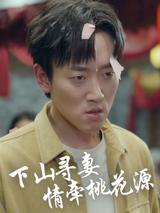 下山寻妻情牵桃花源封面