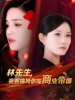 林先生我要搞垮你的商业帝国封面