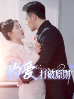 为爱打破原则封面