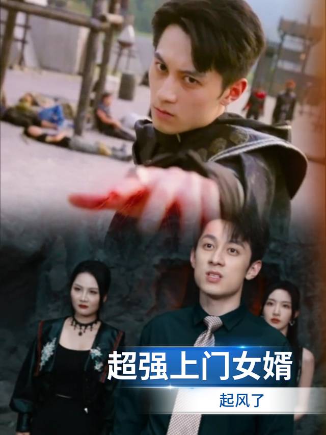 超强上门女婿,起风了封面