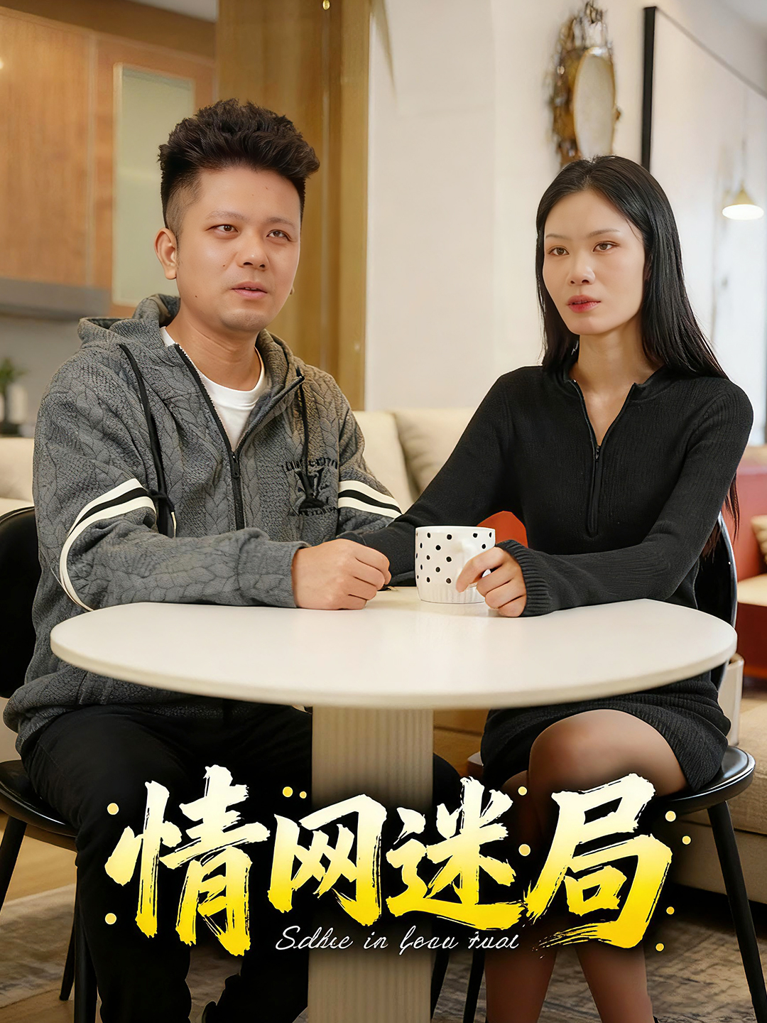 情网迷局封面