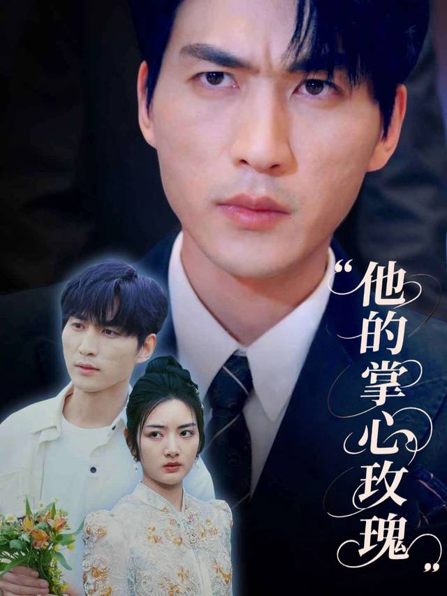 他的掌心玫瑰封面