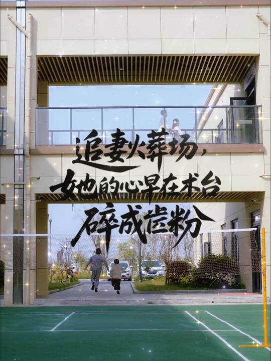 追妻火葬场,她的心早在手术台碎成齑粉封面