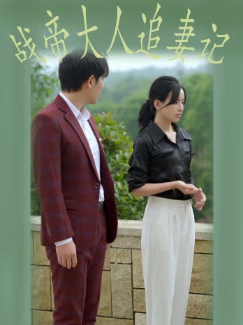 战帝大人追妻记封面