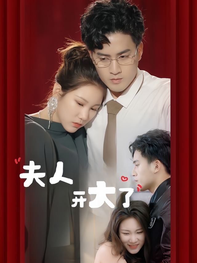 夫人开大了封面