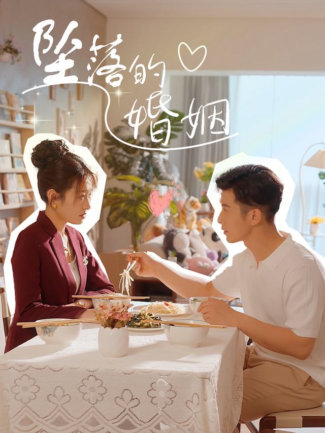 坠落的婚姻封面