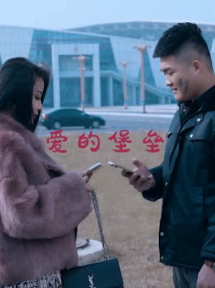 爱的堡垒封面