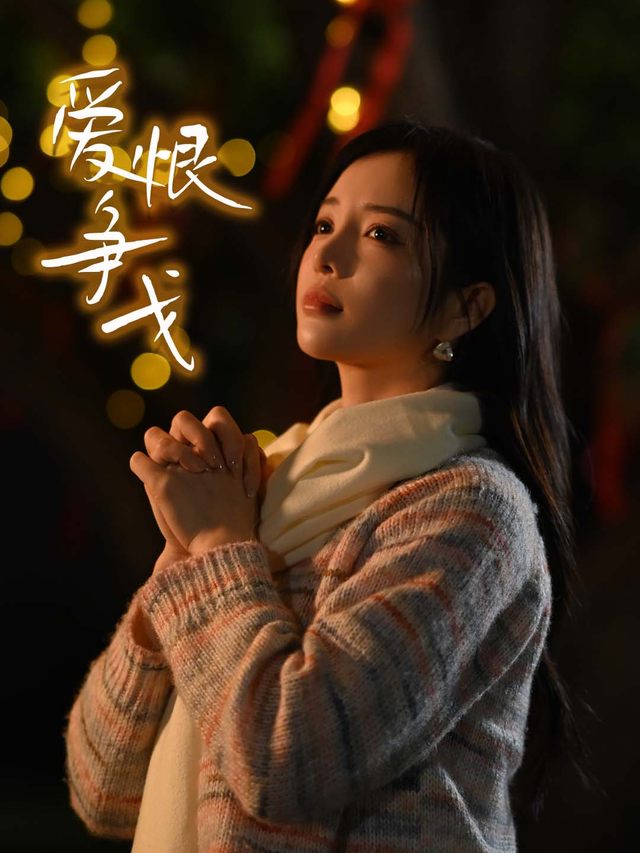 爱恨争戈封面