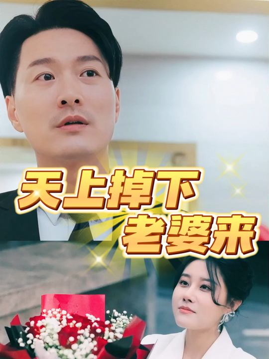 天上掉下老婆来封面