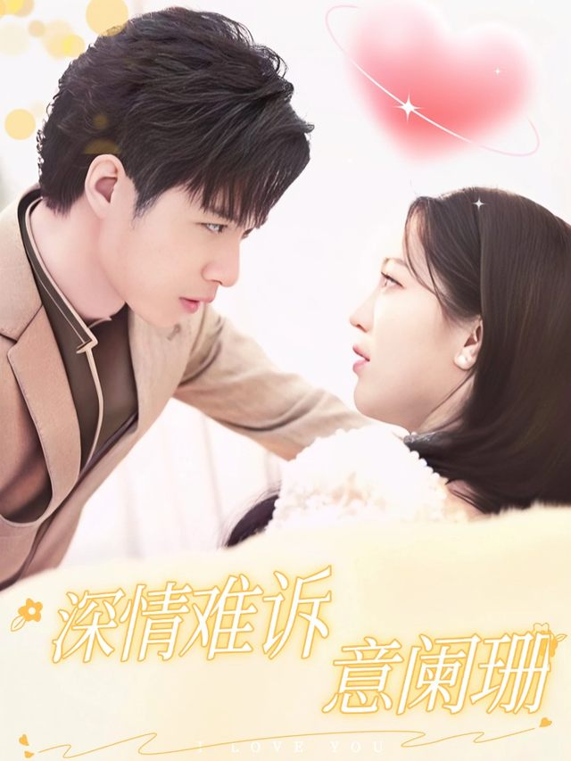 深情难诉意阑珊封面