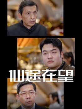仙途在望封面