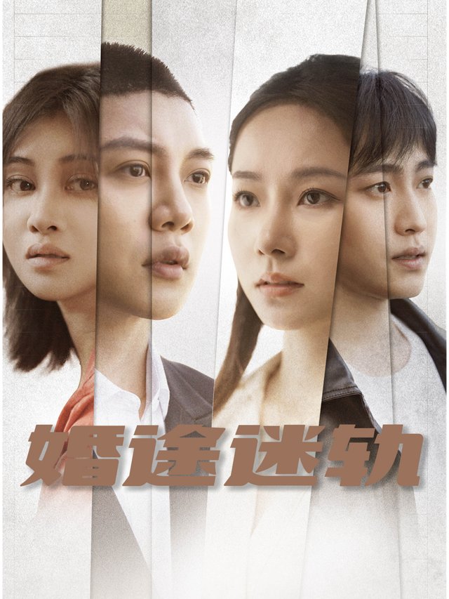 婚途迷轨封面