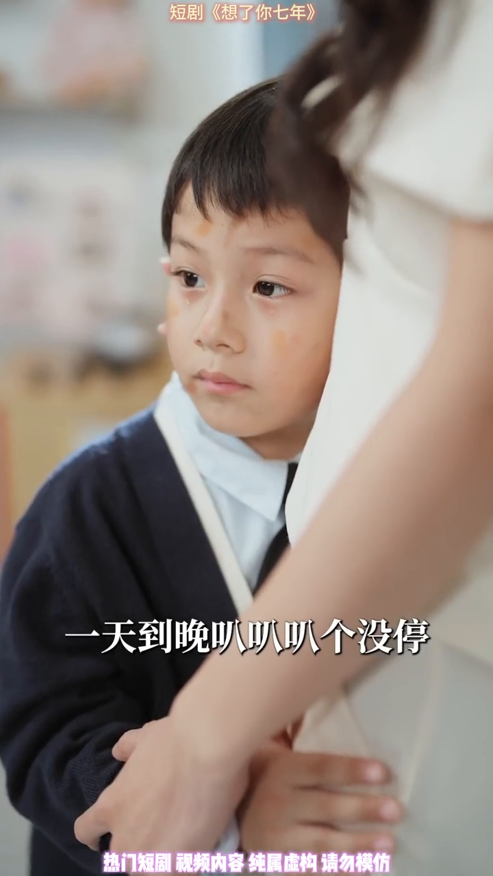 想了你七年封面