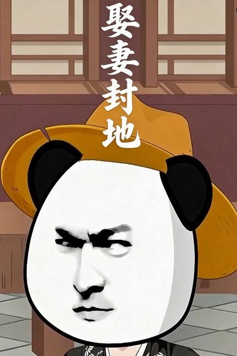娶妻封地封面