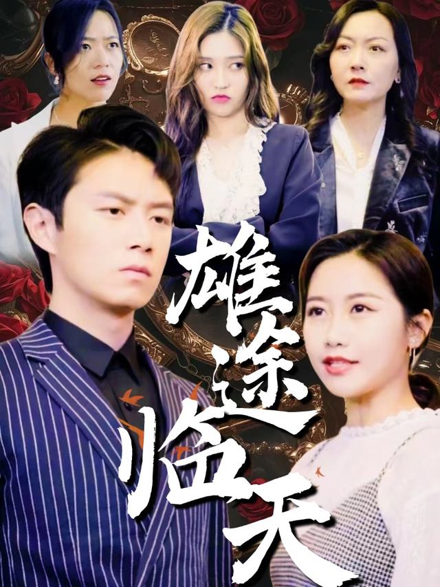 雄途临天封面