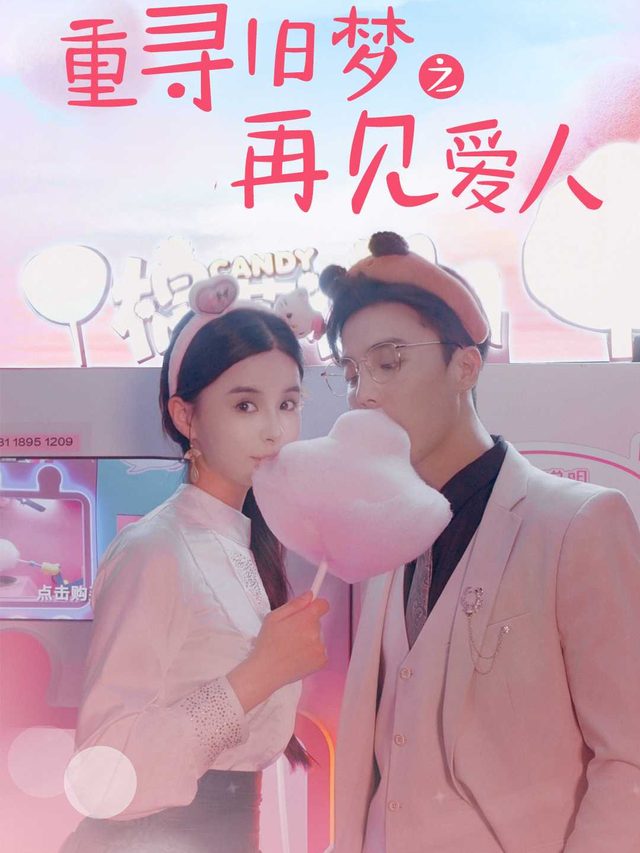重逢旧梦之再见爱人封面