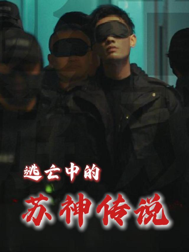 逃亡中的苏神传说封面